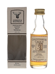 Ledaig 1973 Connoisseurs Choice Bottled 1980s-1990s - Gordon & MacPhail 5cl / 40%