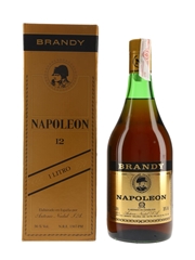 Antonio Nadal Napoleon 12 Year Old Brandy