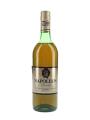 El Serrat Napoleon Brandy  70cl / 38%
