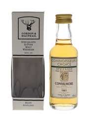 Convalmore 1981 Connoisseurs Choice Bottled 1990s - Gordon & MacPhail 5cl / 40%
