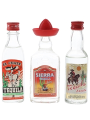 Campeny, Morey & Sierra Tequila  3 x 4cl-5cl