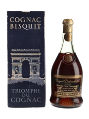 Bisquit Dubouche 45 Year Old Extra Vieille