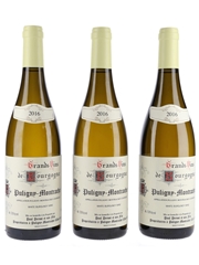 Puligny Montrachet 2016