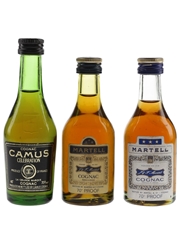 Camus & Martell Bottled 1970s 3 x 5cl / 40%