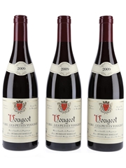 Vougeot 2009 1er Cru Les Petits Vougeot Alain Hudelot-Noellat 3 x 75cl / 13.5%