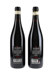 Amarone Della Valpolicella Classico 2014 Allegrini 75cl / 15.5%