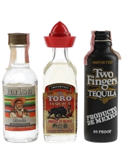 Assorted Tequila El Toro, Pepe Lopez & Two Fingers 3 x 5cl / 40%