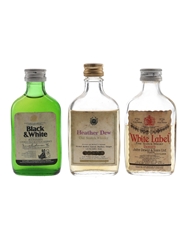 Buchanan's Black & White, Heather Dew & White Label Bottled 1970s 3 x 3.75-4cl / 40%