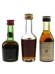 Courvoisier 3 Star, Hennessy Bras Arme, & Martell 3 Star Bottled - 1970s 3 x 3cl / 40%