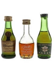 Bisquit 3 Star, Foucauld VSOP & Hardy Fine Champagne  3 x 3cl-3.2cl / 40%