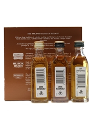Old Bushmills Gift Box 3-Pack Miniatures / 40%