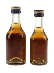 Martell 3 Star Bottled 1970s-1980s 2 x 3cl-5cl / 40%