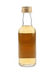 Glentoshan Pure Malt Bottled 1970s - Pradelli Rizzardo 4cl / 40%