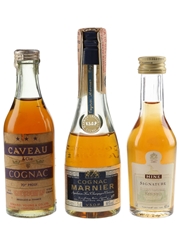 Assorted Cognac Hine Signature, Caveau 3 Star, Marnier VSOP 3 x 3cl-5cl / 40%