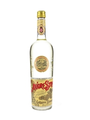 Strega Liquore