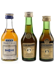 Martell 3 Star & Medaillon VSOP Bottled 1970s & 1980s 3 x 5cl / 40%