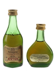 Sempe VSOP Armagnac & Grand Armagnac Janneau XO Bottled 1980s 2  3cl-5cl  / 40%