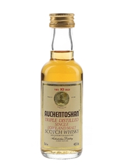 Auchentoshan 10 Year Old