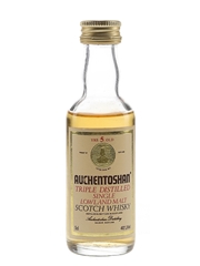 Auchentoshan 5 Year Old