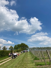 Big Red Vineyard Tour of Sussex 2022 Great British Wine Tours - For 2 People 