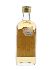 Doble V Selected Whisky Hiram Walker 4.7cl / 43%