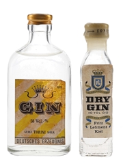 Fritz Lehment Dry Gin & Luigi Torini Gin