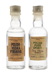 Polish Vodka Vyborova & Polish Pure Spirit  2 x 5cl