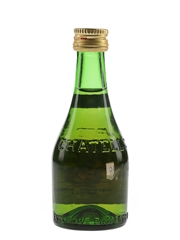 Chatelle Napoleon VSOP Bottled 1980s 5cl