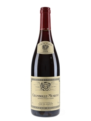 Chambolle-Musigny 2008 Louis Jadot 75cl / 13%