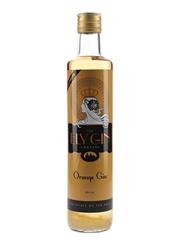 Ely Orange Gin  50cl / 30%