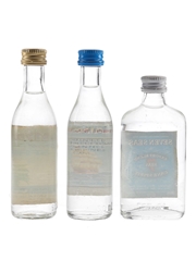 Ian Tomsons, Mainstay & Seven Seas Cane Spirit Bottled 1980s 3 x 5cl