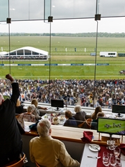 Racing Experience at Newmarket