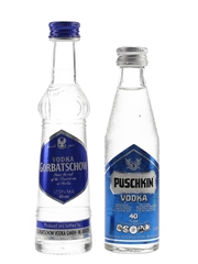 Gorbatschow & Puschkin Vodka  2 x 4cl