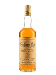 Golden Age Bottled 1970s - John Haig & Co. 75.7cl / 40%