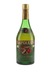 Napoleon French Brandy