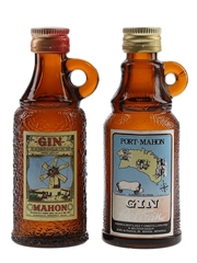 Port Mahon & Mahon Xoriguer Gin