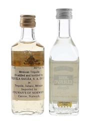 Jose Cuervo Tequila & Sauza Tequila Bottled 1970s - 1980s 2 x 5cl