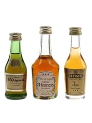 Bisquit VSOP, Hine Signature & Hennessy Very Special