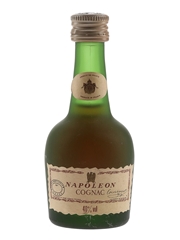 Courvoisier Napoleon Cognac Bottled 1970s 3cl / 40%