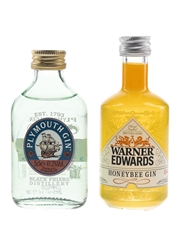 Plymouth & Warner Edwards Gin  2 x 5cl