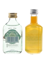 Plymouth & Warner Edwards Gin  2 x 5cl