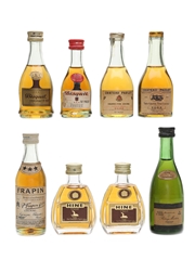 Assorted Cognac Miniatures Including Hine, Frapin, Remy Martin