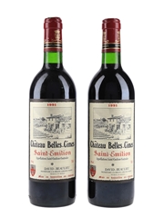 Chateau Belles Cimes 1991