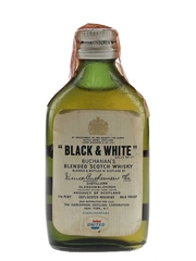 Buchanan's Black & White Bottled 1960s - United Airlines 4.7cl / 43.4%