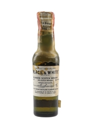 Buchanan's Black & White Spring Cap