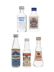 Assorted Vodka Miniatures