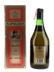 Napoleon 12 Year Old VSOP Bottled 1980s -1990s 100cl / 36%