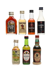 Assorted Rum Miniatures Mount Gay, Captain Morgan, Rhum Negrita 7 x 5cl