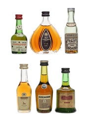 Assorted Cognac Miniatures Courvoisier XO, Hennessy, Martell 5 x 3 - 5cl
