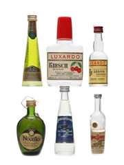 Italian Bitters & Liqueurs Miniatures Campari, Fernet Branca, Disaronno, Galliano 6 x 2 - 10cl